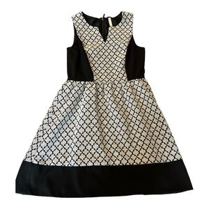 Kenzie Small Black and White fit and flare dress